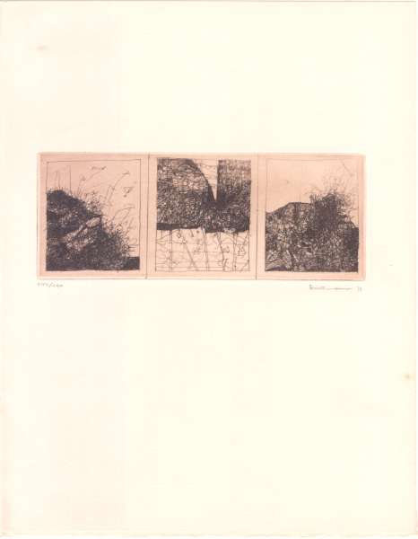 Imagen de la obra (ID 1563)